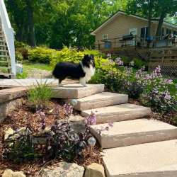 Paver Patio & Walkway
