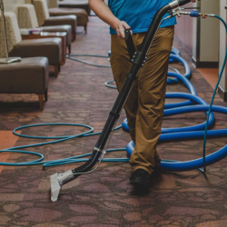 Carpet Cleaning