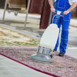 Area Rug Cleaning