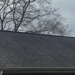 Roof Cleaning