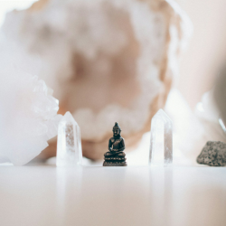 HIGH VIBE TRIBE Monthly Membership