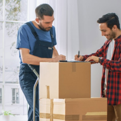 Packing & Loading Assistance