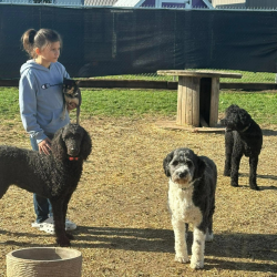 Daycare Service