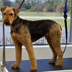 Pick Up and Drop Off