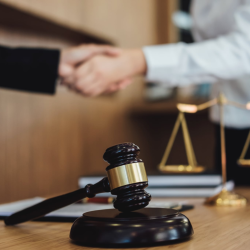 Litigation
