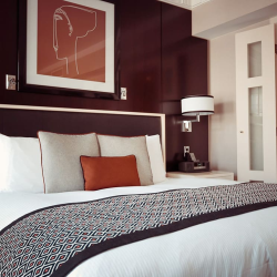 Comforters Linens and Rugs