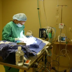 Surgery