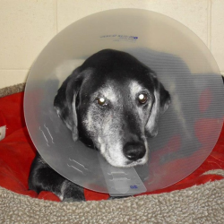 Emergency and Urgent Care