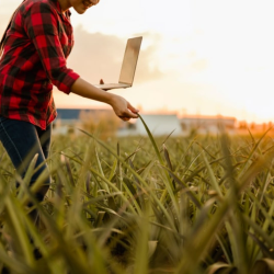 Finding the Right Place