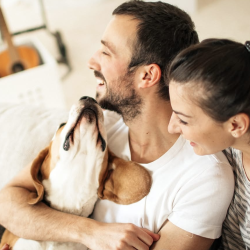 Mortgage Loans