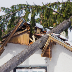 Storm Damage