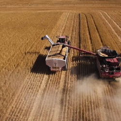 Agriculture