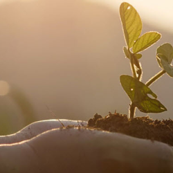 Sustainability