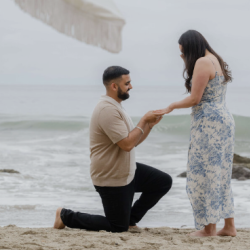 Surprise Proposals
