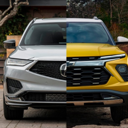 Service to Import & Domestic Vehicles