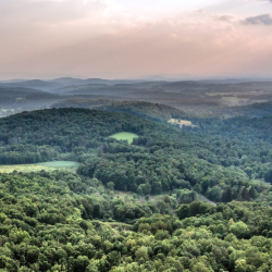 Environmental, Social and Governance