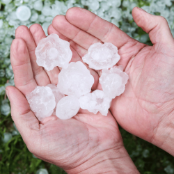 Hail Damage Insurance
