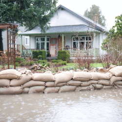 Flood Insurance