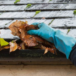 Gutter Cleaning & Repair