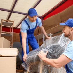 Furniture Removal