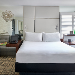 Standard -  One Queen