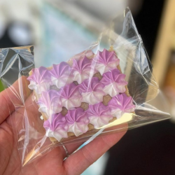 Chocolate Chip Sandwiches