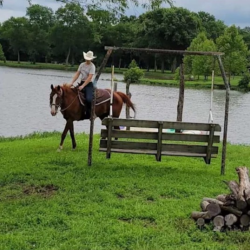 Community & Family Events