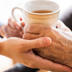 Personal Care & Daily Living Assistance