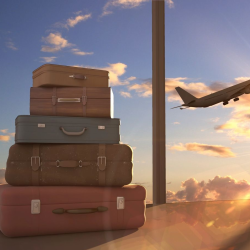 Travel