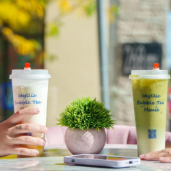 Matcha Drinks