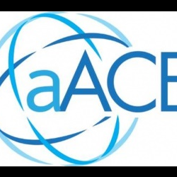 aAce ERP