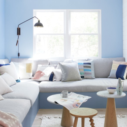 Paint Color Matching