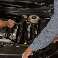 Routine Auto Services and Fluids