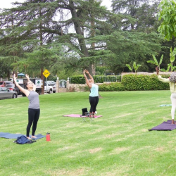  P.E.A.C.E. in the Park