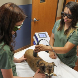 Laser Surgery & Therapy