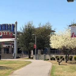 Building Inspections