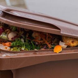 Compost Collection
