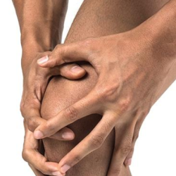 Physical Rehabilitation
