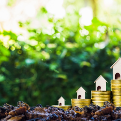 Building or Investing