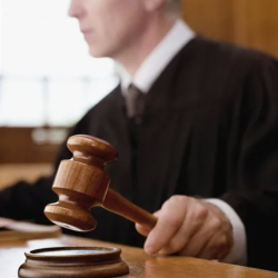 Litigation & Appeal