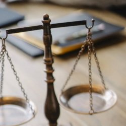 International Litigation Support