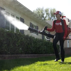 Mosquito Control