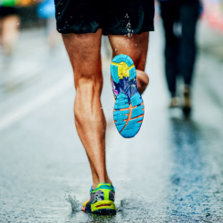 Athletic Performance IV