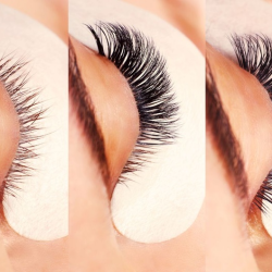 Eyelashes & Brows