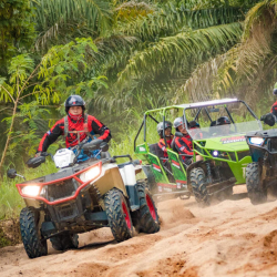 Recreational Powersports  Equipment