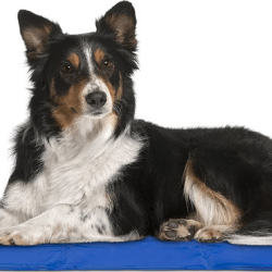 Pet Dog Self-Cooling Mat Pad