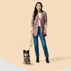 Pet Insurance