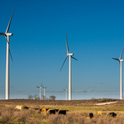 Renewable Energy Choice