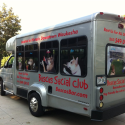 Boscos Bus