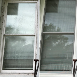 Window Washing